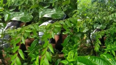 College lovers raining forest ulle sudana kamaveri sex video