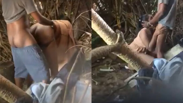 Sri Lankan college girl outdoor blowjob fucking capture